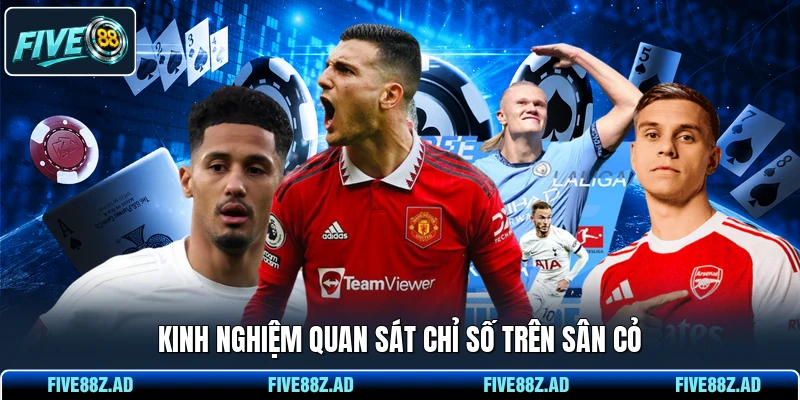 Kinh nghiệm quan sát chỉ số trên sân cỏ