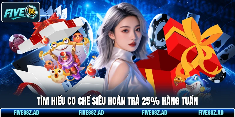 Tìm hiểu cơ chế siêu hoàn trả 25% hàng tuần